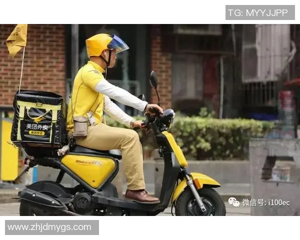 京东不死鸟与金泽的较量谁将成为电商领域的新王者