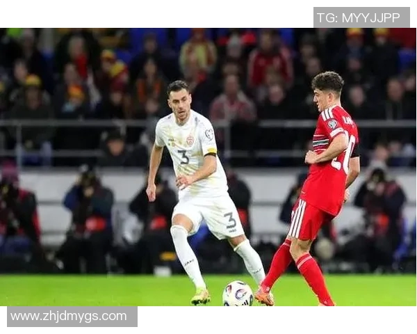 世欧预赛精彩对决波兰迎战黑山球队争夺晋级机会